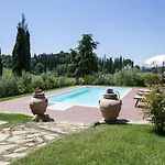 Camelia * Cortona