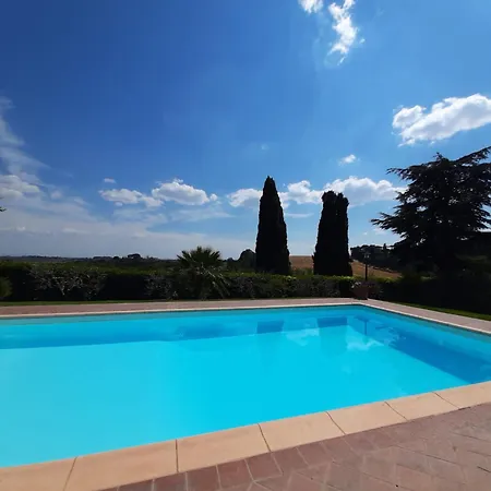 Camelia Κορτόνα